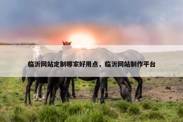 临沂网站定制哪家好用点，临沂网站制作平台