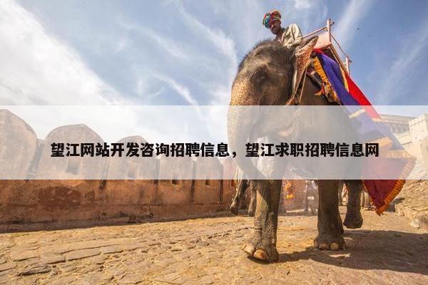 望江网站开发咨询招聘信息，望江求职招聘信息网