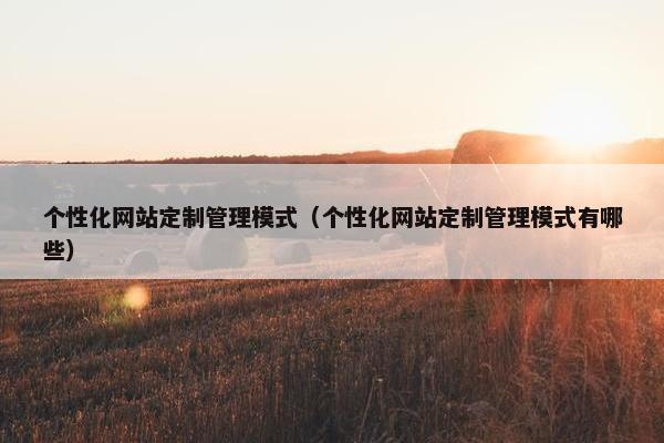 个性化网站定制管理模式（个性化网站定制管理模式有哪些）