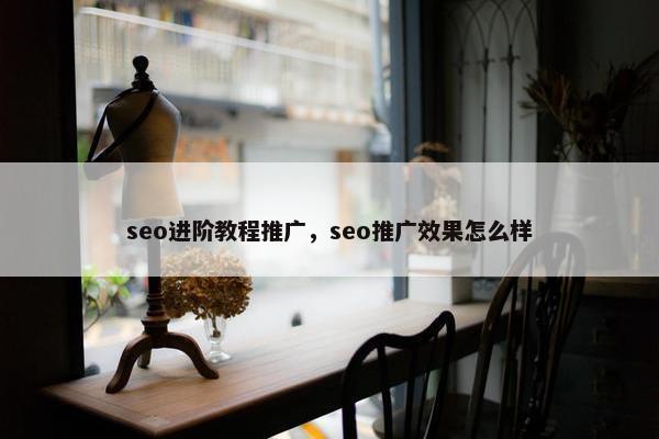 seo进阶教程推广，seo推广效果怎么样