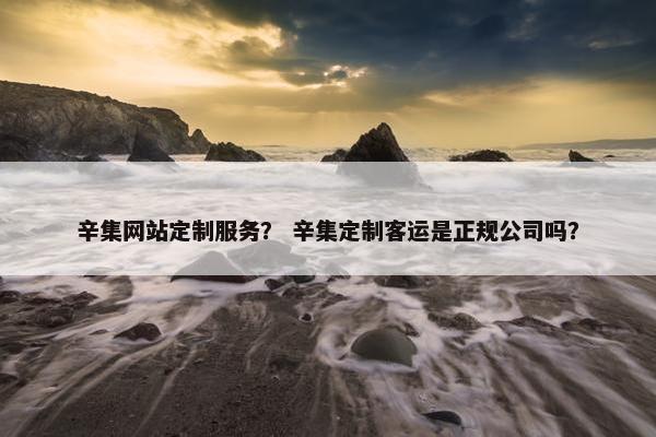 辛集网站定制服务？ 辛集定制客运是正规公司吗？