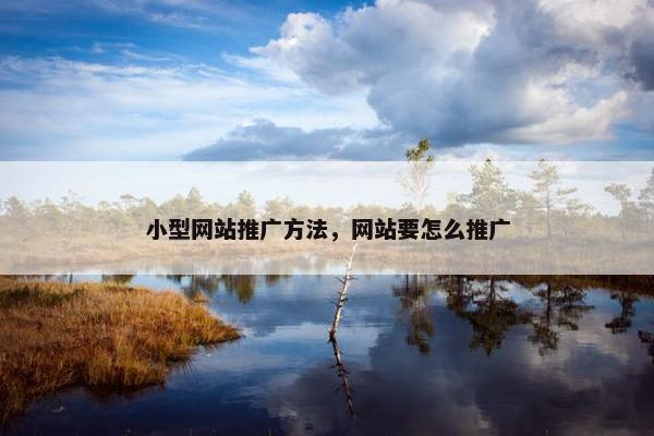 小型网站推广方法，网站要怎么推广