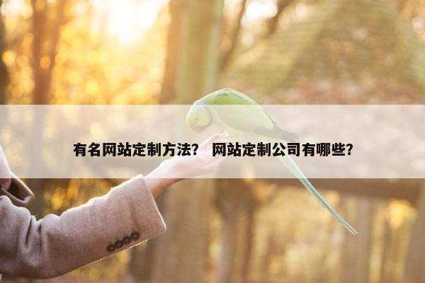 有名网站定制方法？ 网站定制公司有哪些？