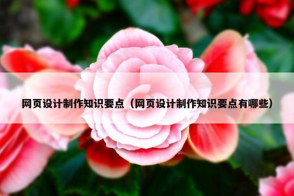网页设计制作知识要点（网页设计制作知识要点有哪些）