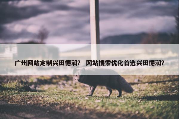广州网站定制兴田德润？ 网站搜索优化首选兴田德润？