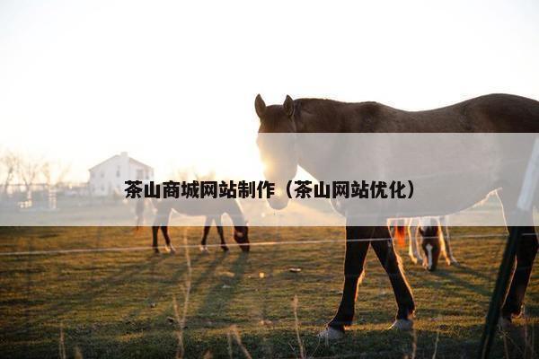 茶山商城网站制作（茶山网站优化）