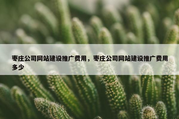 枣庄公司网站建设推广费用，枣庄公司网站建设推广费用多少