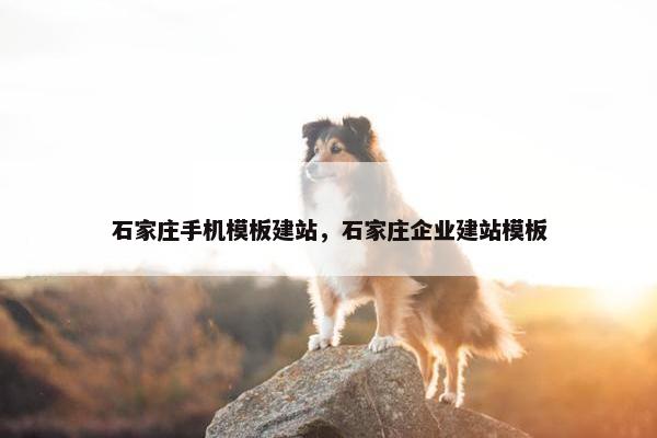 石家庄手机模板建站，石家庄企业建站模板