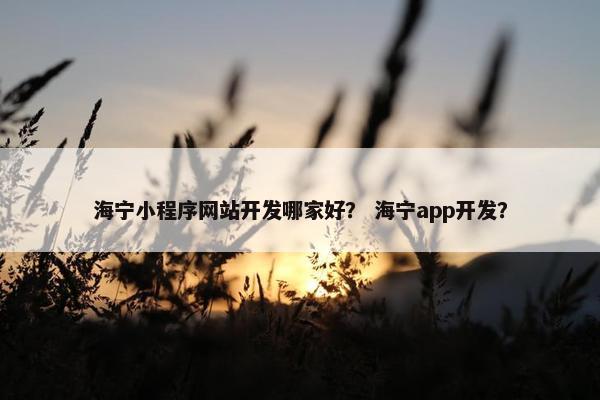 海宁小程序网站开发哪家好？ 海宁app开发？