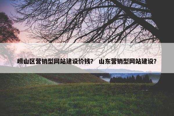 崂山区营销型网站建设价钱？ 山东营销型网站建设？