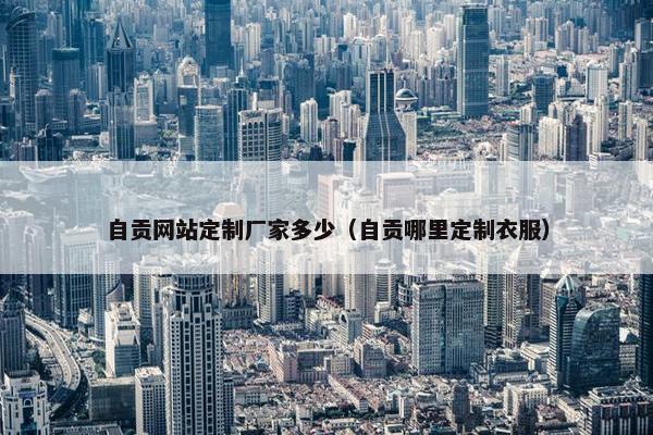 自贡网站定制厂家多少（自贡哪里定制衣服）
