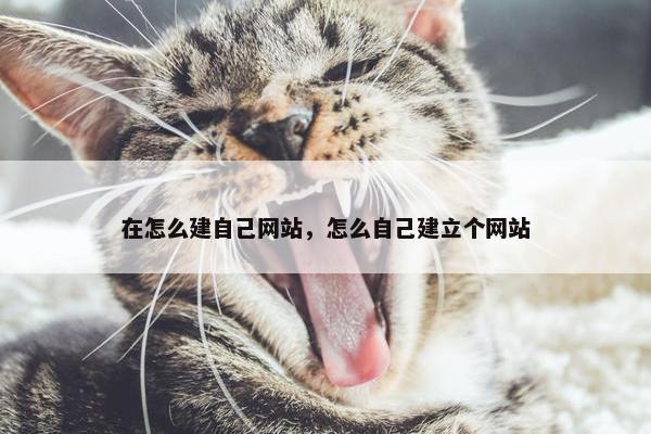 在怎么建自己网站，怎么自己建立个网站