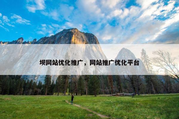 坝网站优化推广，网站推广优化平台