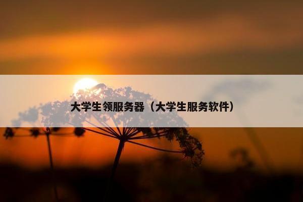 大学生领服务器（大学生服务软件）