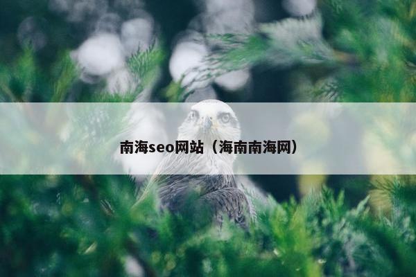 南海seo网站（海南南海网）