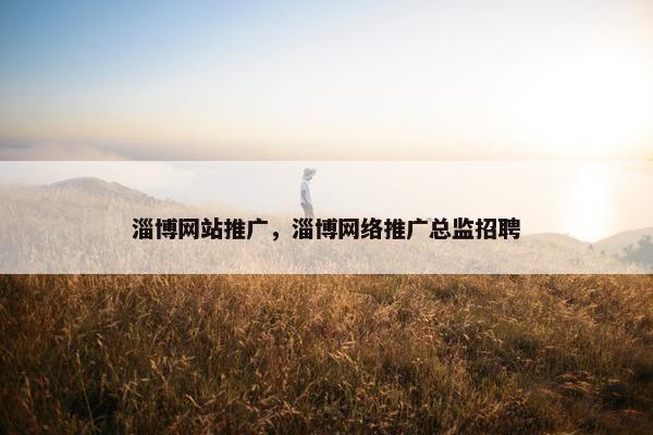 淄博网站推广，淄博网络推广总监招聘