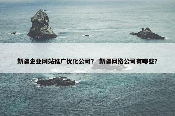 新疆企业网站推广优化公司？ 新疆网络公司有哪些？