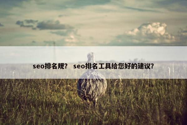 seo排名规？ seo排名工具给您好的建议？