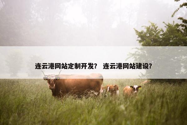 连云港网站定制开发？ 连云港网站建设？