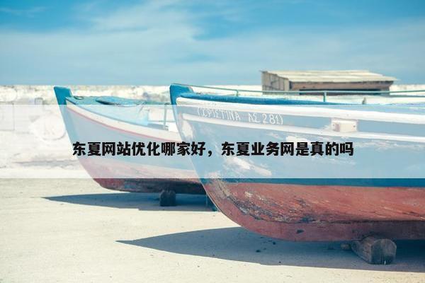 东夏网站优化哪家好，东夏业务网是真的吗