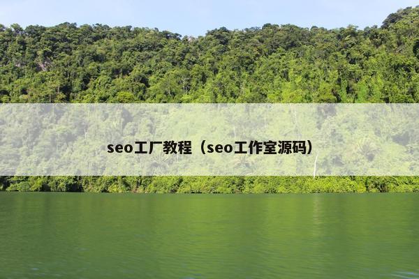 seo工厂教程（seo工作室源码）