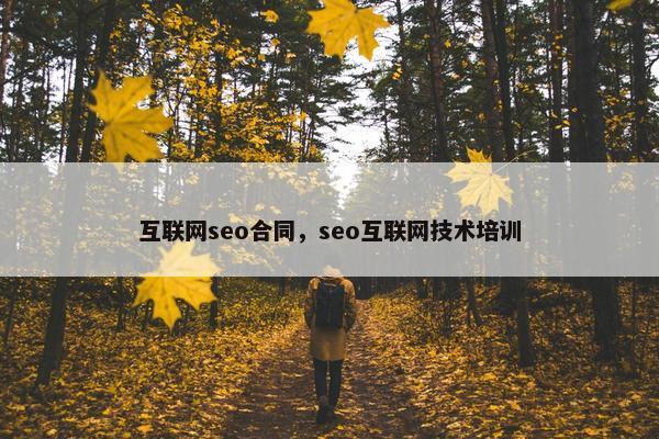 互联网seo合同，seo互联网技术培训