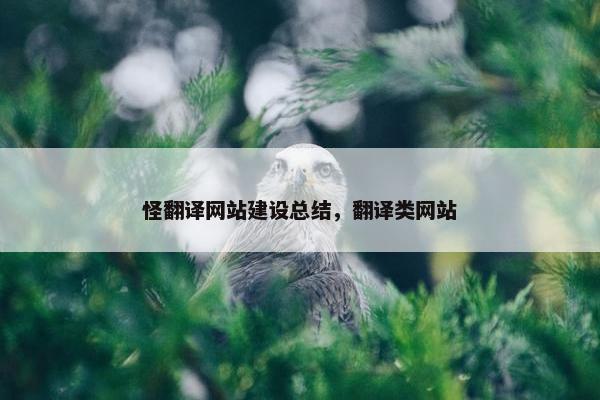 怪翻译网站建设总结，翻译类网站