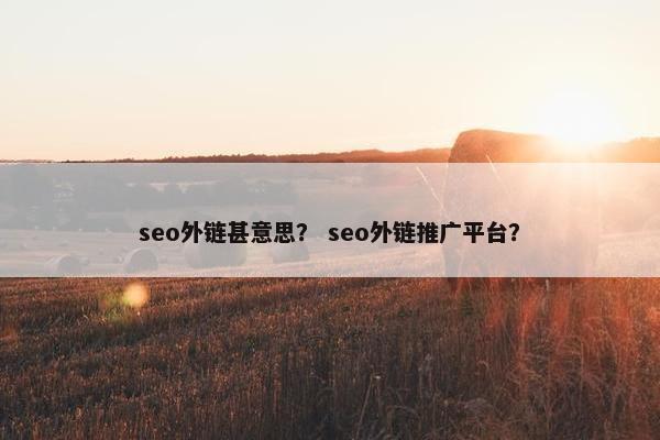seo外链甚意思？ seo外链推广平台？