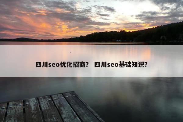 四川seo优化招商？ 四川seo基础知识？