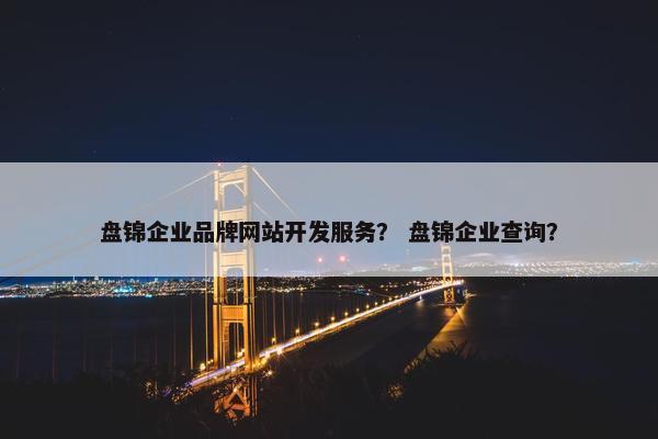盘锦企业品牌网站开发服务？ 盘锦企业查询？