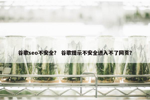 谷歌seo不安全？ 谷歌提示不安全进入不了网页？