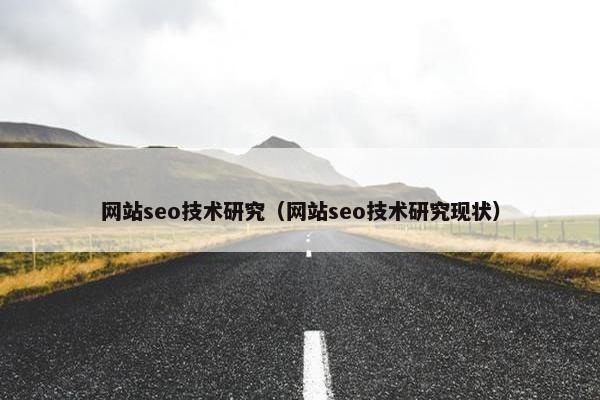 网站seo技术研究（网站seo技术研究现状）