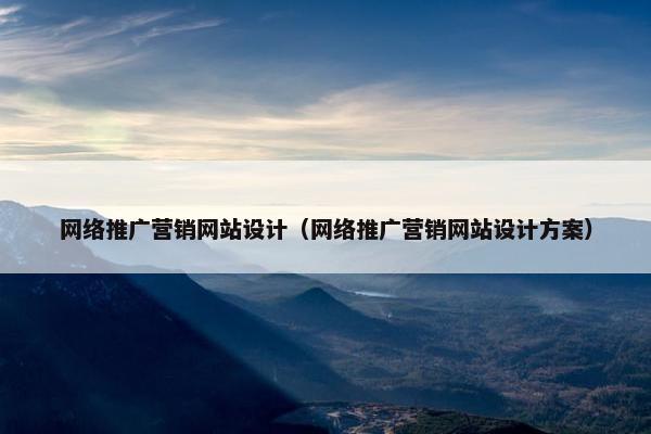 网络推广营销网站设计（网络推广营销网站设计方案）