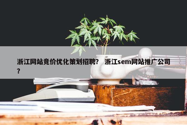 浙江网站竞价优化策划招聘？ 浙江sem网站推广公司？