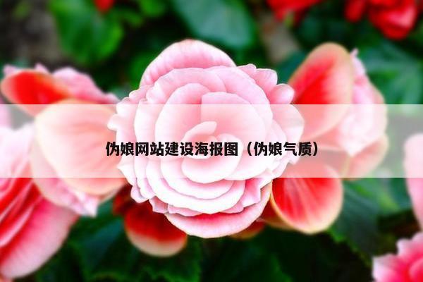 伪娘网站建设海报图（伪娘气质）