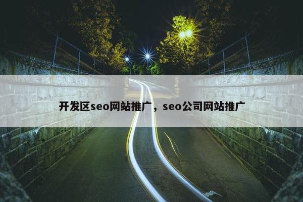 开发区seo网站推广，seo公司网站推广