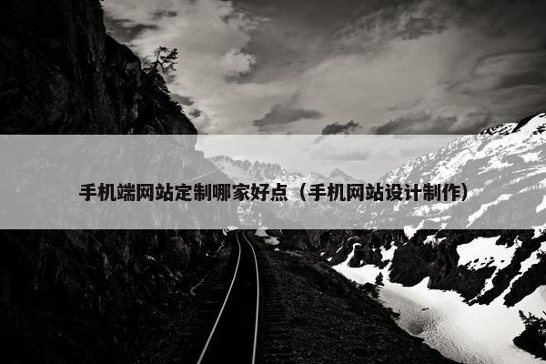 手机端网站定制哪家好点（手机网站设计制作）