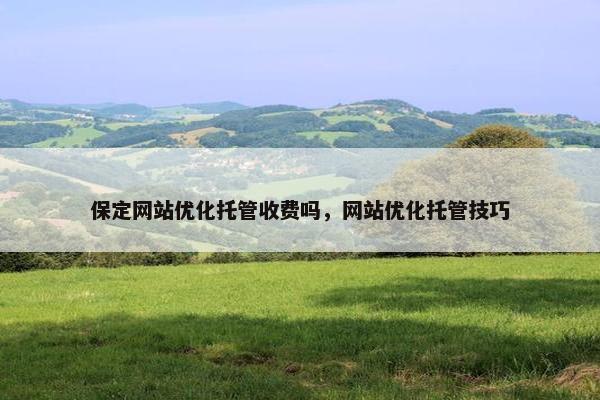 保定网站优化托管收费吗，网站优化托管技巧