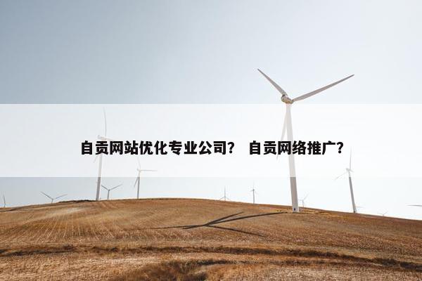 自贡网站优化专业公司？ 自贡网络推广？
