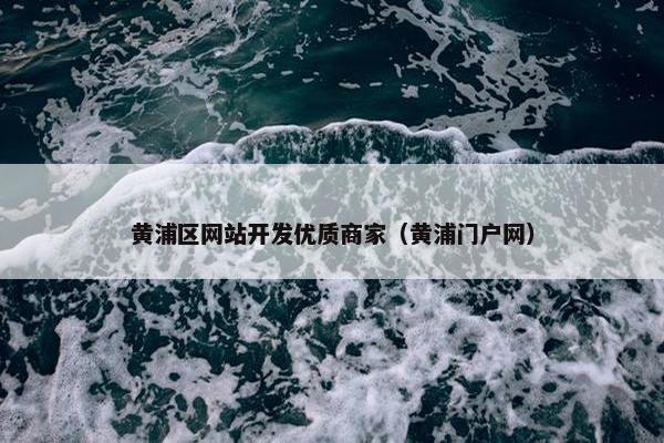 黄浦区网站开发优质商家（黄浦门户网）