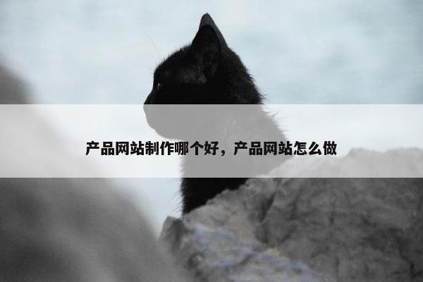 产品网站制作哪个好，产品网站怎么做