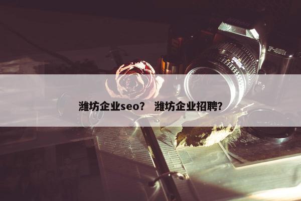 潍坊企业seo？ 潍坊企业招聘？
