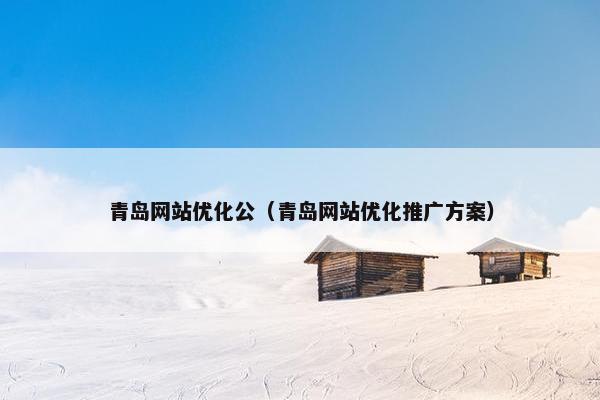 青岛网站优化公（青岛网站优化推广方案）