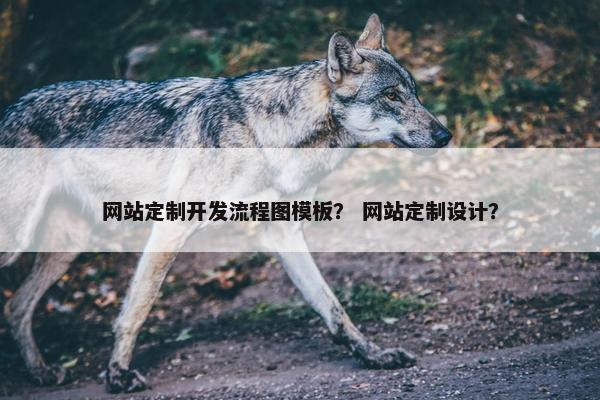 网站定制开发流程图模板？ 网站定制设计？
