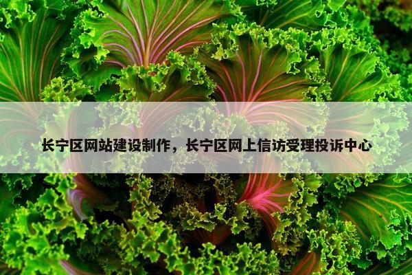 长宁区网站建设制作，长宁区网上信访受理投诉中心