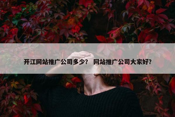 开江网站推广公司多少？ 网站推广公司大家好？