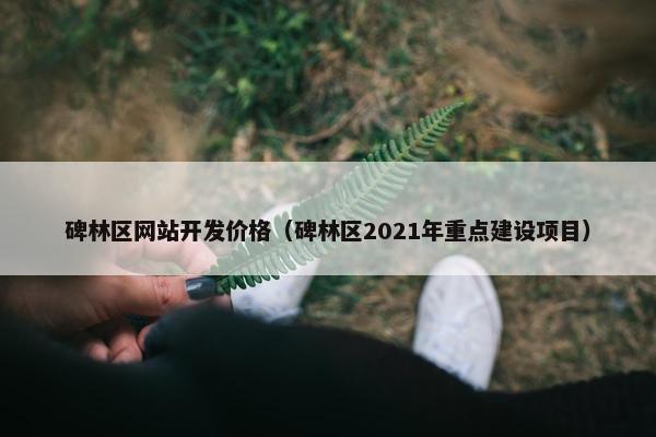 碑林区网站开发价格（碑林区2021年重点建设项目）