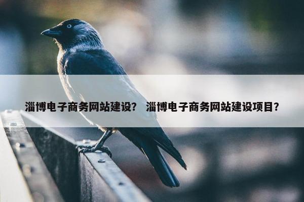 淄博电子商务网站建设？ 淄博电子商务网站建设项目？