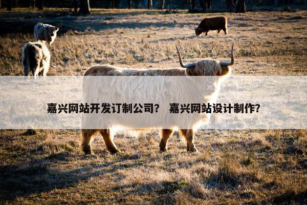 嘉兴网站开发订制公司？ 嘉兴网站设计制作？