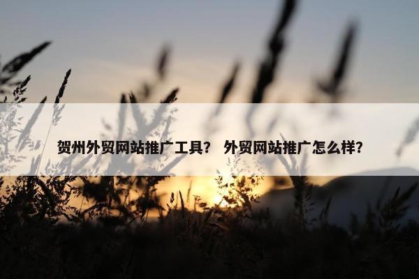 贺州外贸网站推广工具？ 外贸网站推广怎么样？